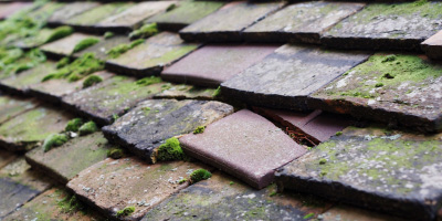 White Mill roof repair costs